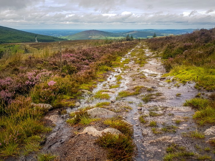 Critical Velocity Training